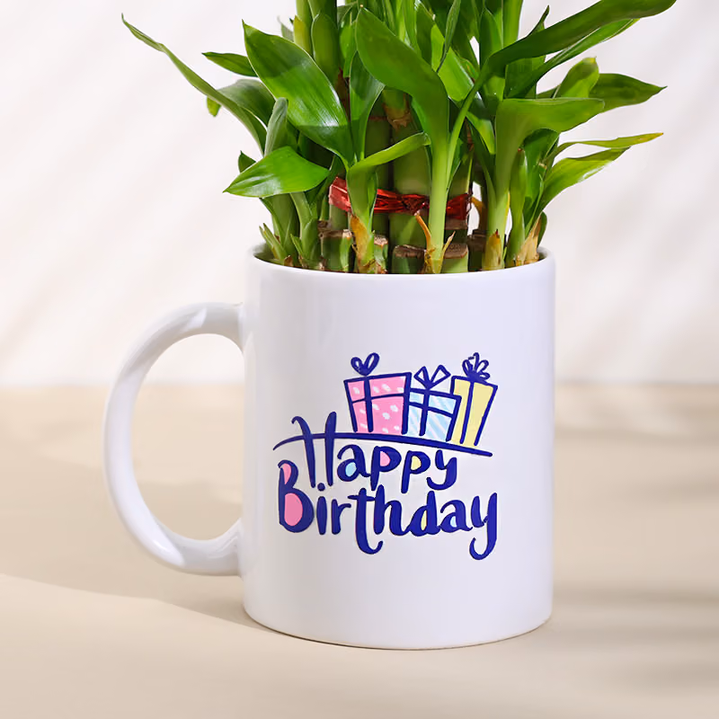 Bamboo Plant In Birthday Cheer Mug