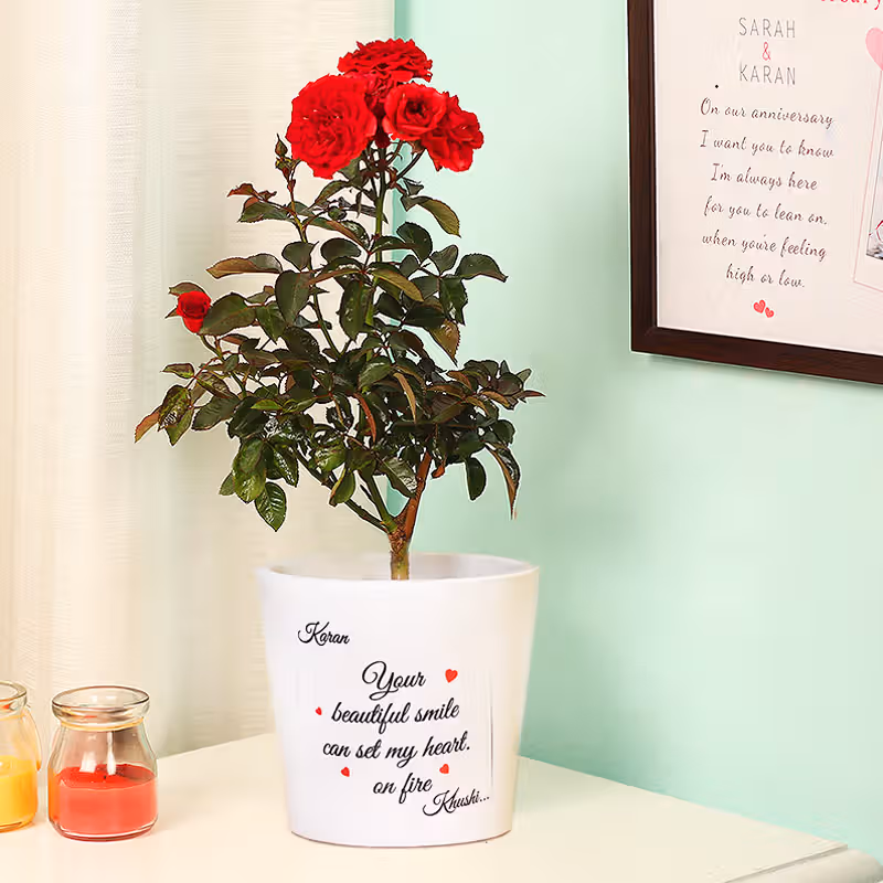Personalised Rose Plant