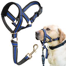 DOG BELTS