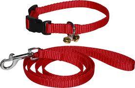 PET LEASHES