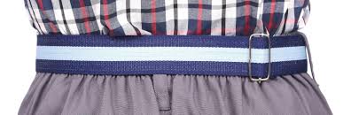 SCHOO0L BELT